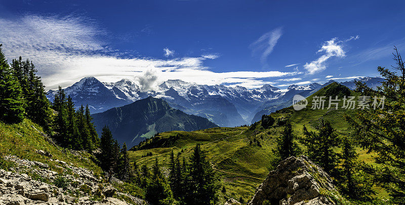 伯尔尼斯阿尔卑斯山全景从Schynige Platte - V